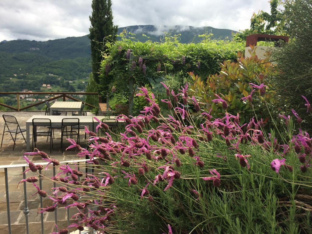 Agriturismo Braccicorti Hotel Pieve Fosciana Exterior photo
